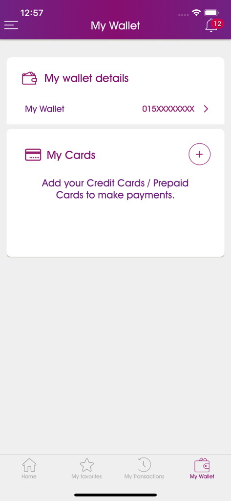 WE Pay EG - WE Pay EG mobile app My Wallet screen for managing wallet details and credit cards