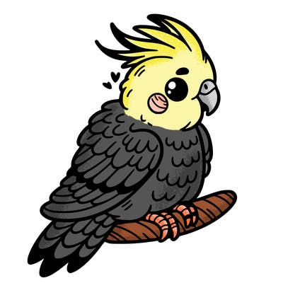 cockatiel