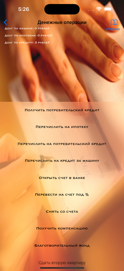 A screenshot showing financial management options in the Another Life life simulator game.