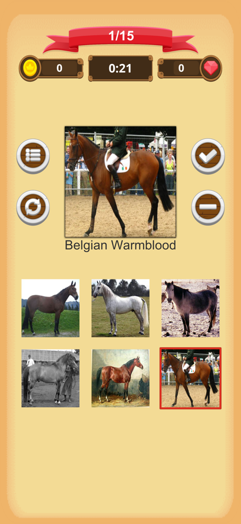 Horse Quiz - Gameplay screen of Horse Quiz app showing a Belgian Warmblood breed identification question with several horse images.