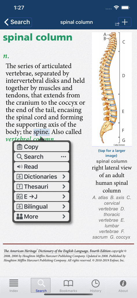 American Heritage® Dictionary - Screenshot of the American Heritage Dictionary app displaying the definition and an anatomical illustration of the human spinal column.