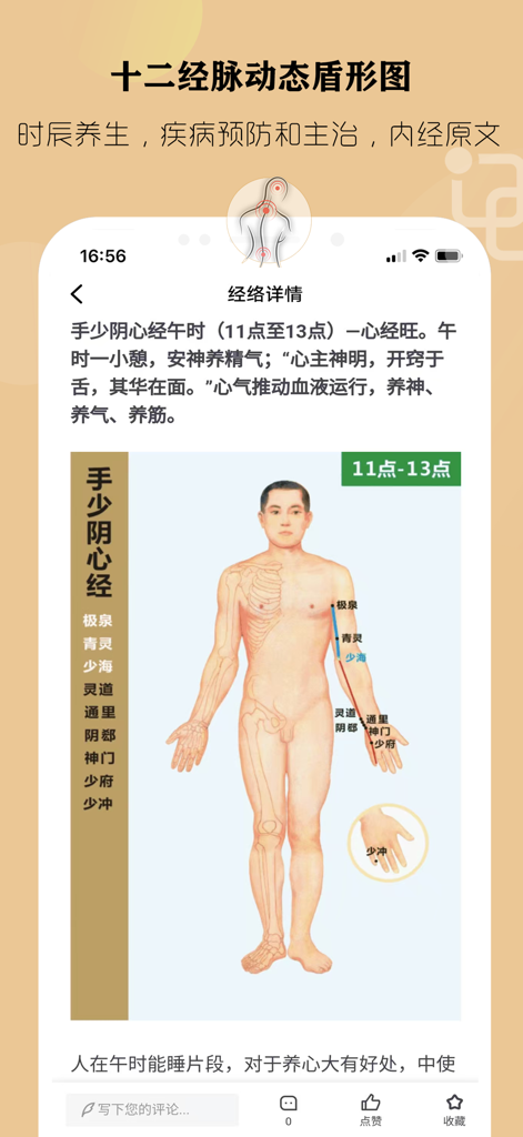 经络穴位养生 - 中医穴位自我按摩治愈 - 3D-anatomisches Diagramm, das den Herzmeridian und Akupunkturpunkte in der Meridian Wellness App zeigt