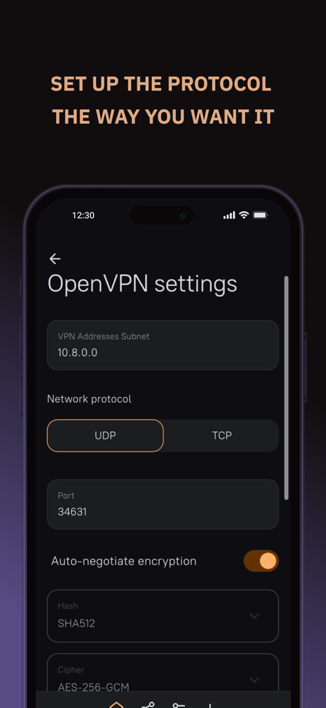 AmneziaVPN - AmneziaVPN app screen for customizing OpenVPN protocol and encryption settings