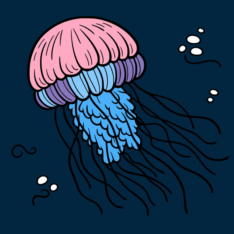 jellyfish
