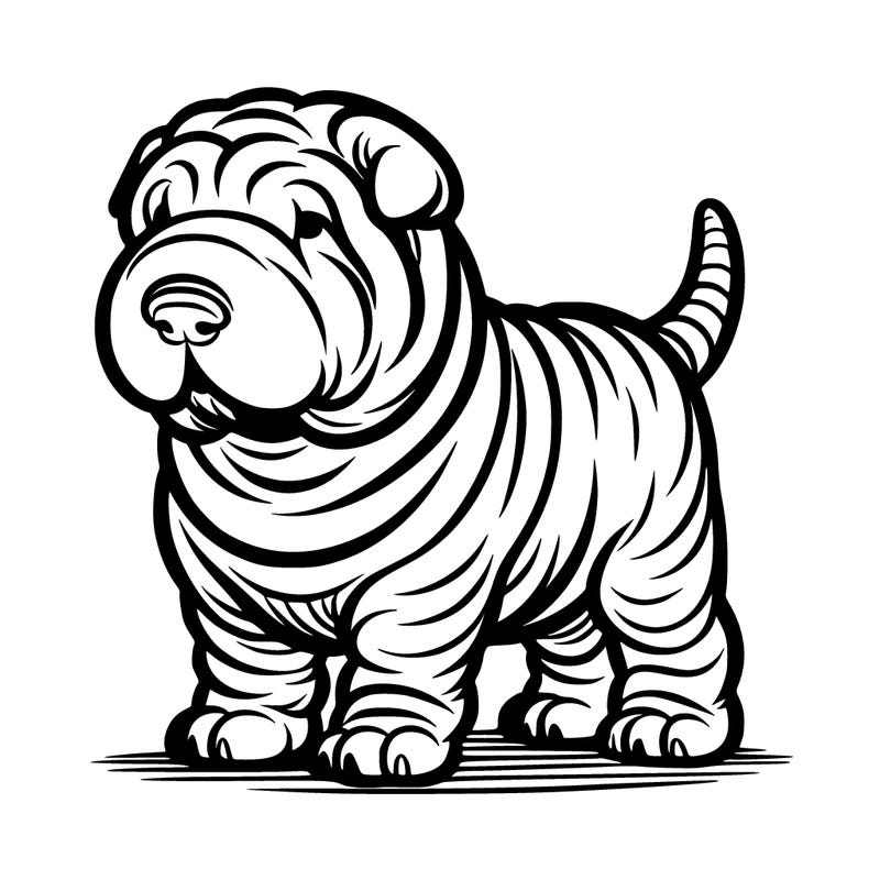 chinese shar-pei