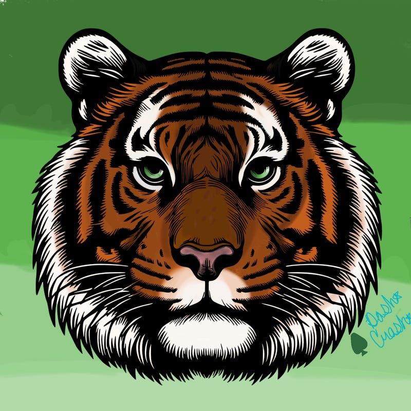 realistic tiger face
