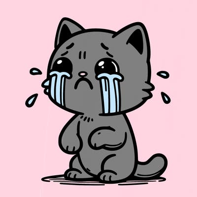 a cat is crying