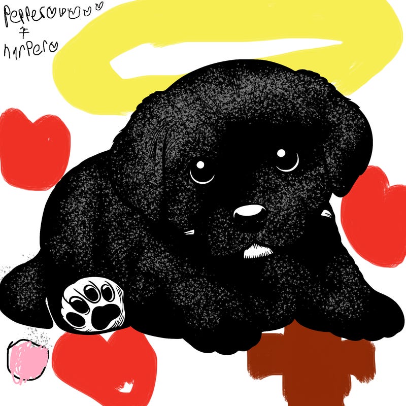 a cute realistic puppy