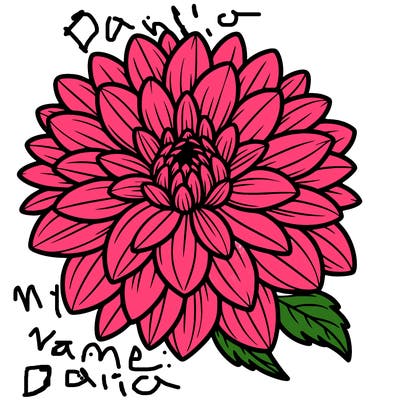 a beautiful, marked and clean dahlia