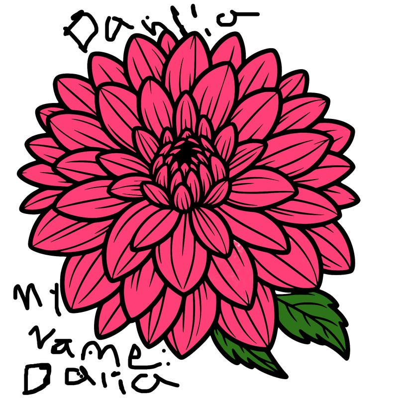 a beautiful, marked and clean dahlia