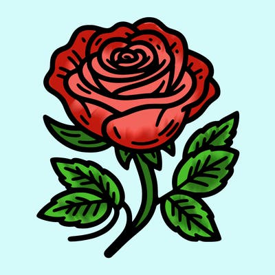 rose flower