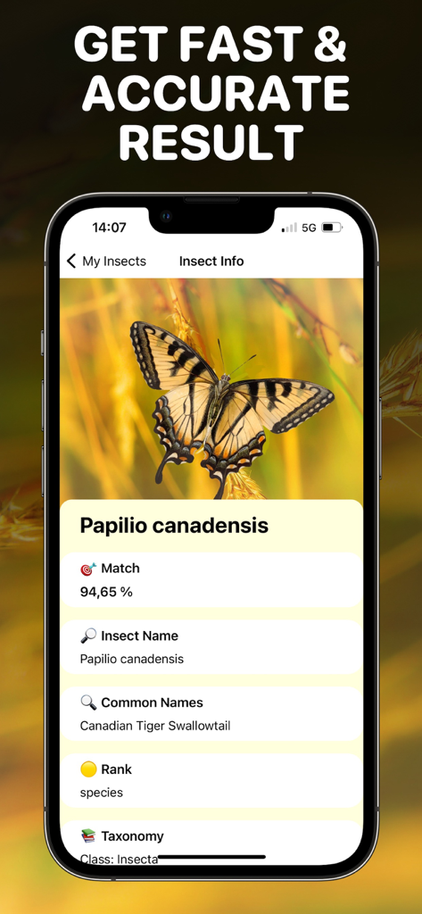 Bug Identifier App - Insect ID - 벌레 식별 앱이 캐나다 호랑이 제비나비에 대한 자세한 식별 결과를 보여주는 모습