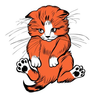 animals_20