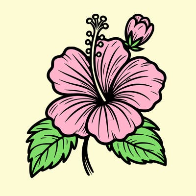 hibiscus flower