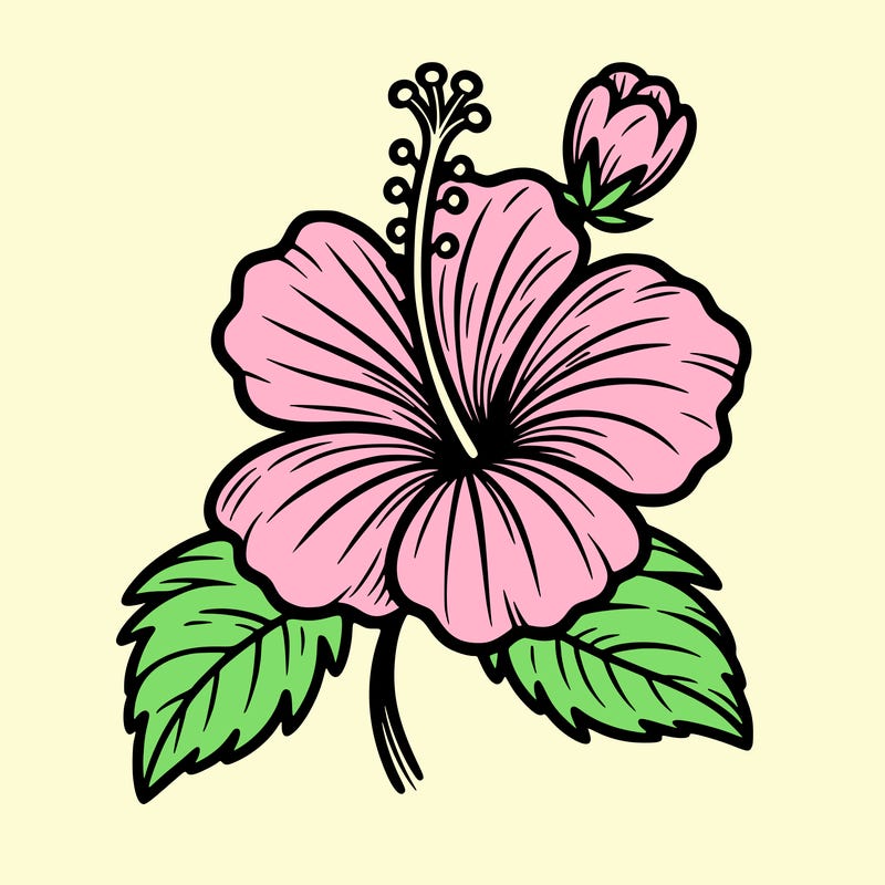 hibiscus flower