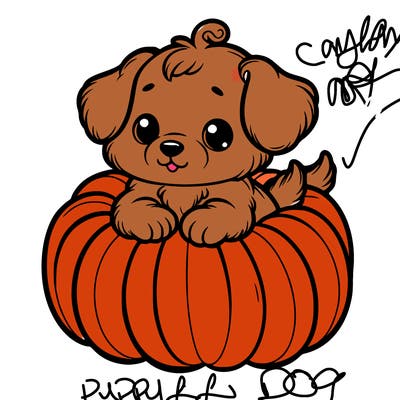 cute little puppy in a pumpkin