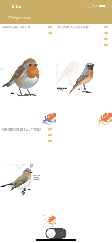 Collins British Bird Guide - A side by side comparison screen in the Collins British Bird Guide app showing illustrations of a Robin, Redstart and Red-breasted Flycatcher.