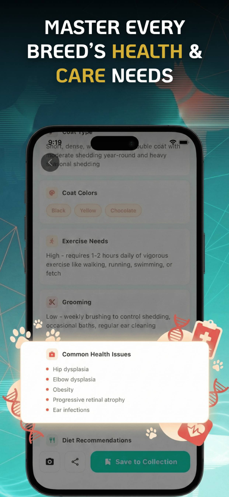 Dog Breed Identifier | Scanner - Mobile app screen displaying detailed dog breed health issues exercise needs and grooming guides