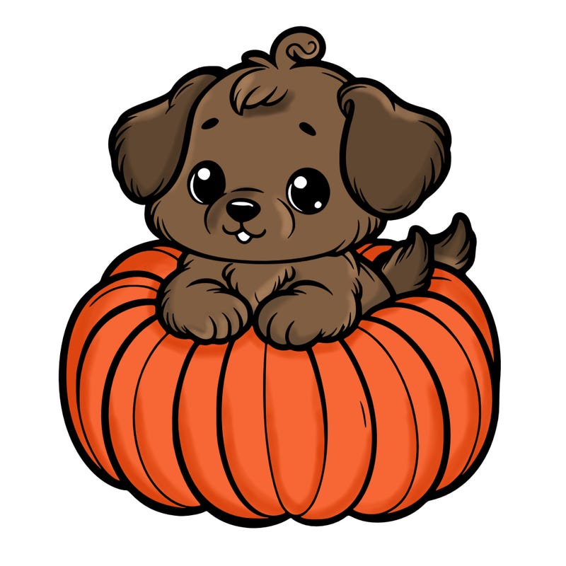 cute little puppy in a pumpkin