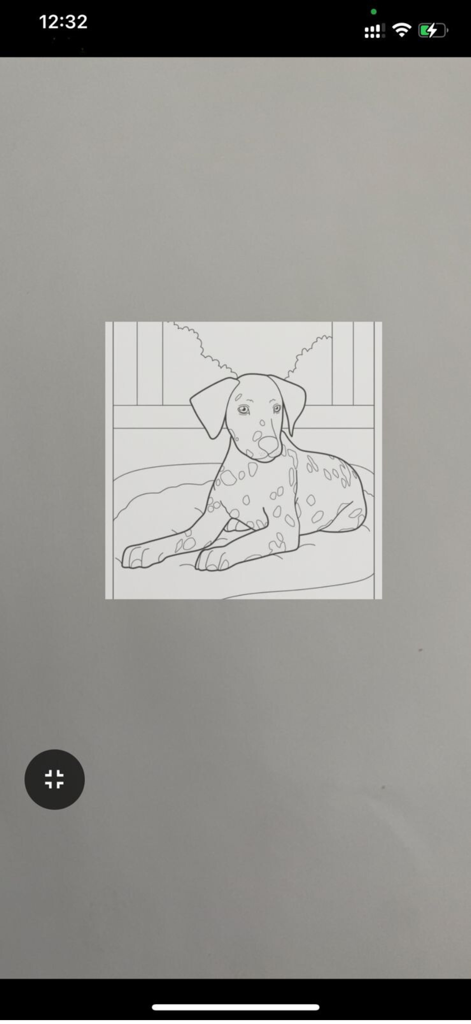 AR Drawing Sketch & Trace - Interfaz RA proyectando un boceto de dálmata en una superficie para trazar