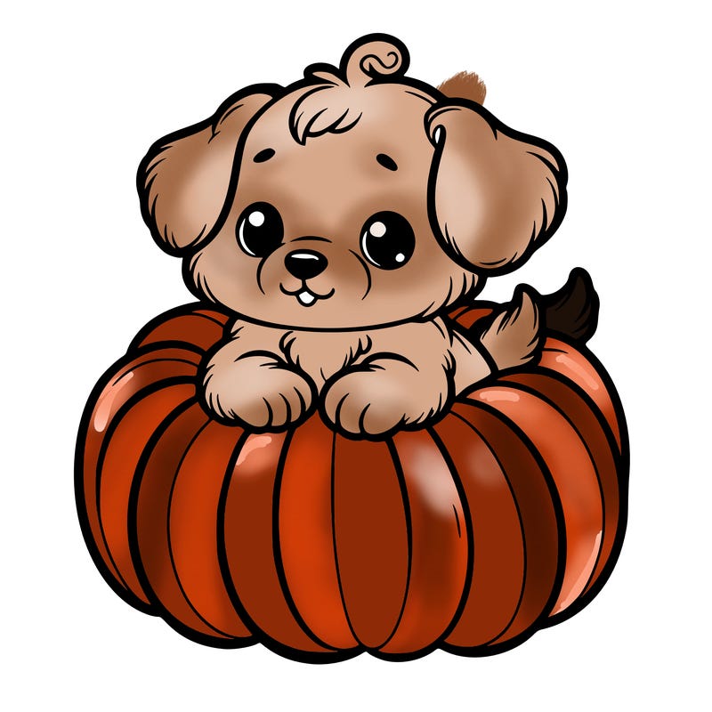 cute little puppy in a pumpkin