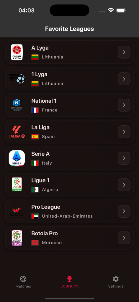 A list of various international soccer leagues in the Ostora TV app including European and MENA leagues