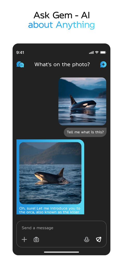 Interfaz de la aplicación Gem AI mostrando a un usuario preguntando sobre una foto de una orca y recibiendo una respuesta inteligente