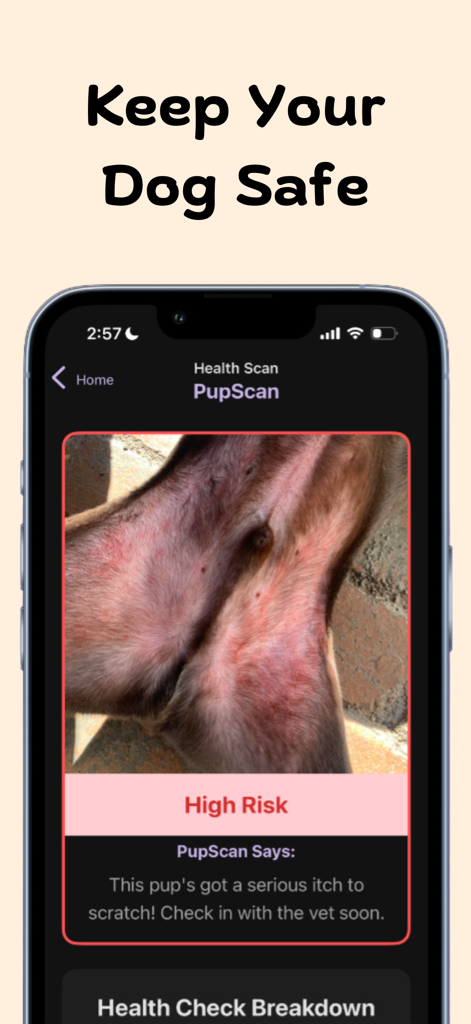 PupScan - Dog Translator - PupScan app interface showing a high risk health alert for dog skin irritation.