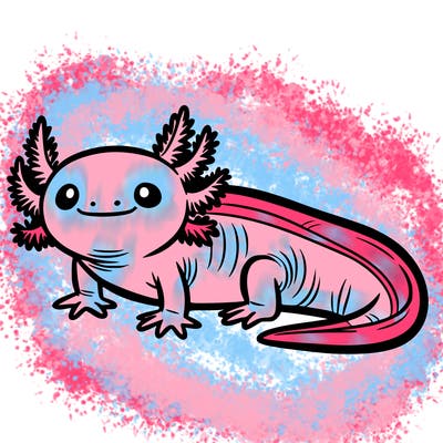 axolotl
