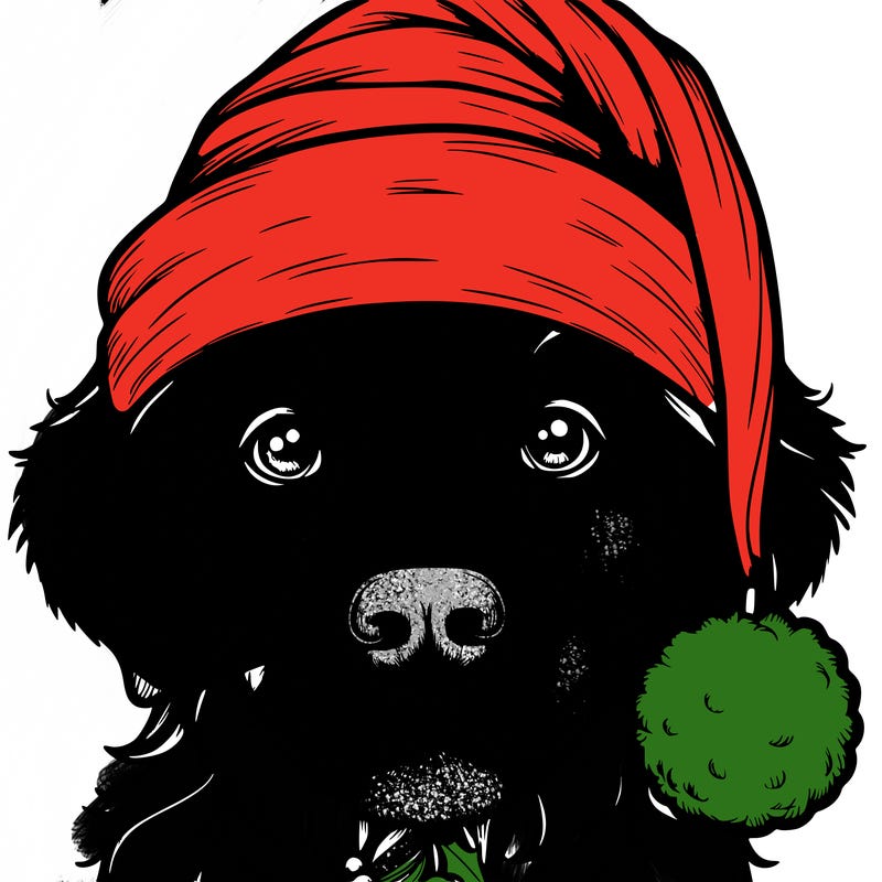 realistic dog with a christmas hat