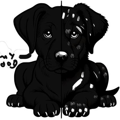 realistic dog split picture