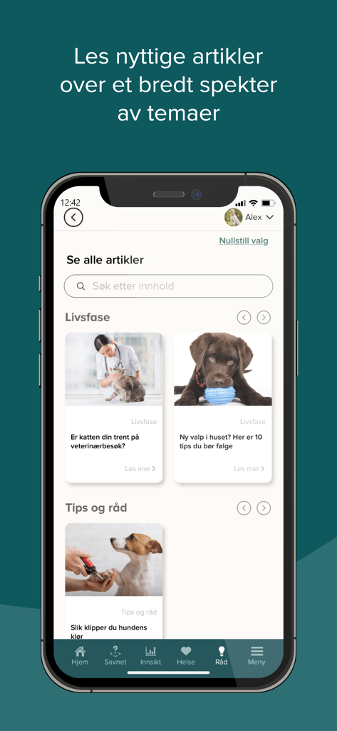 DyreID - Um smartphone mostrando a tela do aplicativo DyreID com vários artigos sobre cuidados com pets e dicas educacionais para donos