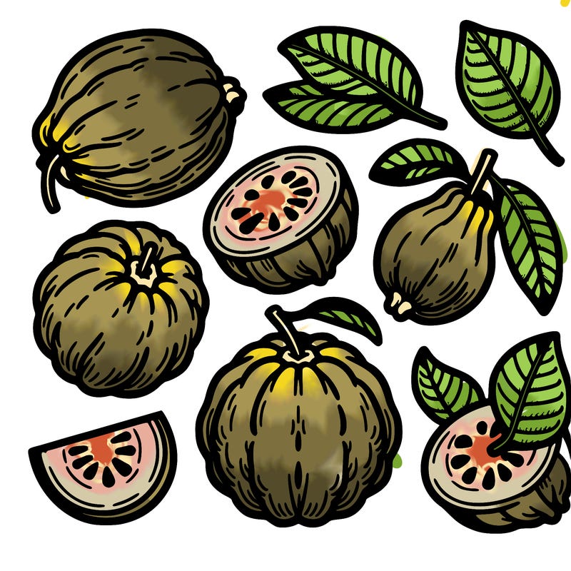 some  of  guava fruit