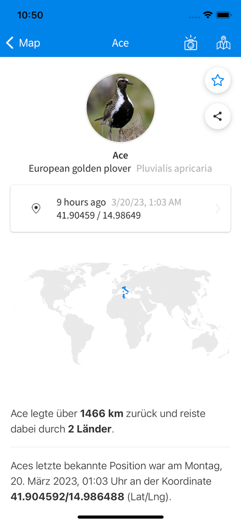 Animal Tracker - Profile of Ace the European golden plover showing migration distance and map location in the Animal Tracker app