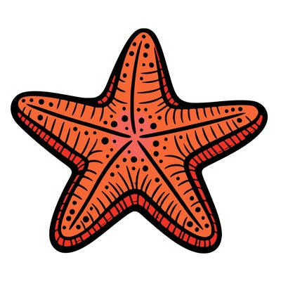 starfish