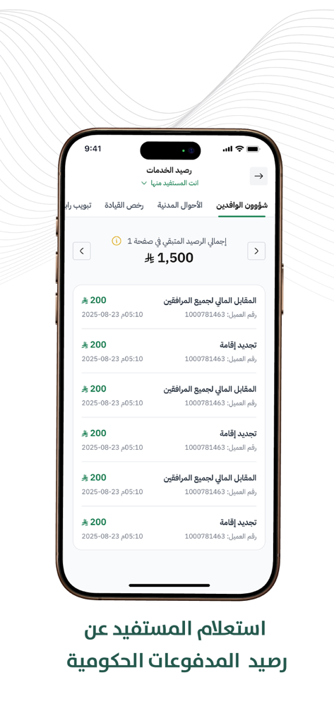 Etimad Individuals - Interface of the Etimad Individuals app displaying a list of government service payment balances and transaction history.