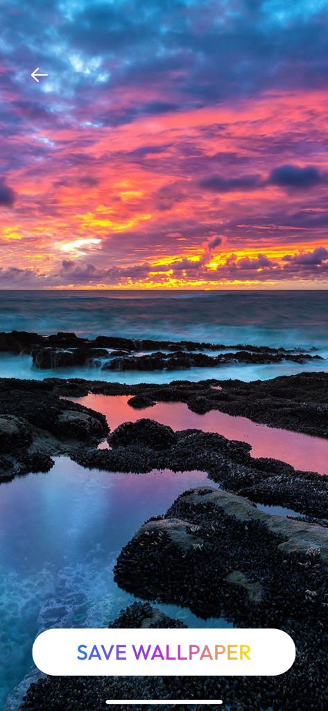 Live Wallpaper Maker - Themes - A vibrant sunset landscape wallpaper with pink and purple clouds reflecting in tide pools on a rocky shore.