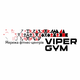 Viper Gym