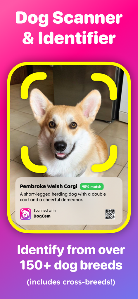 Dog & Pet Translator: DogCam - Smartphone-Bildschirm, der den DogCam Rassen-Scanner zeigt, der einen Pembroke Welsh Corgi identifiziert.
