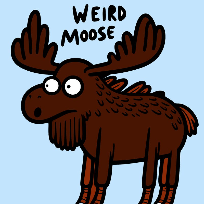 weird moose