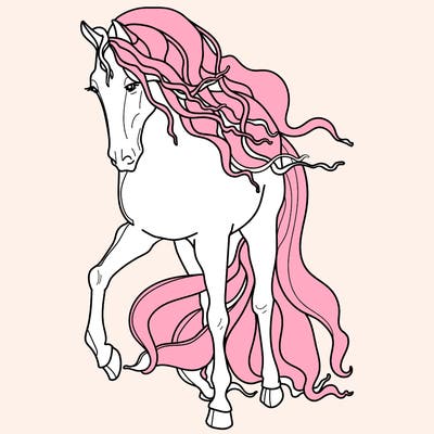 animals_11