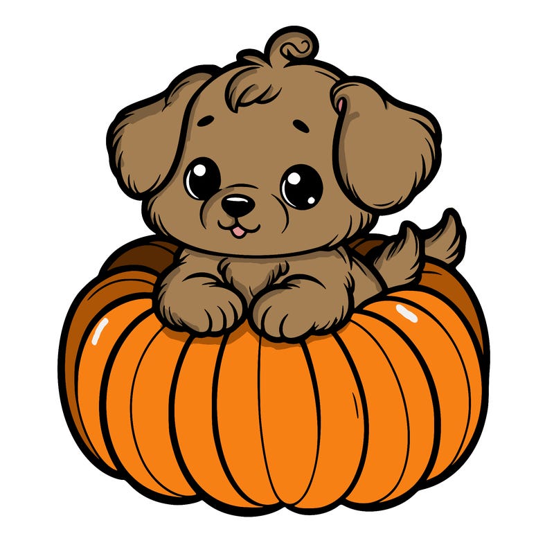 cute little puppy in a pumpkin