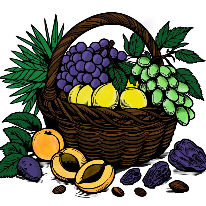 a fruit basket from morocco with apricots, dates and grapes