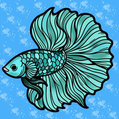 betta fish