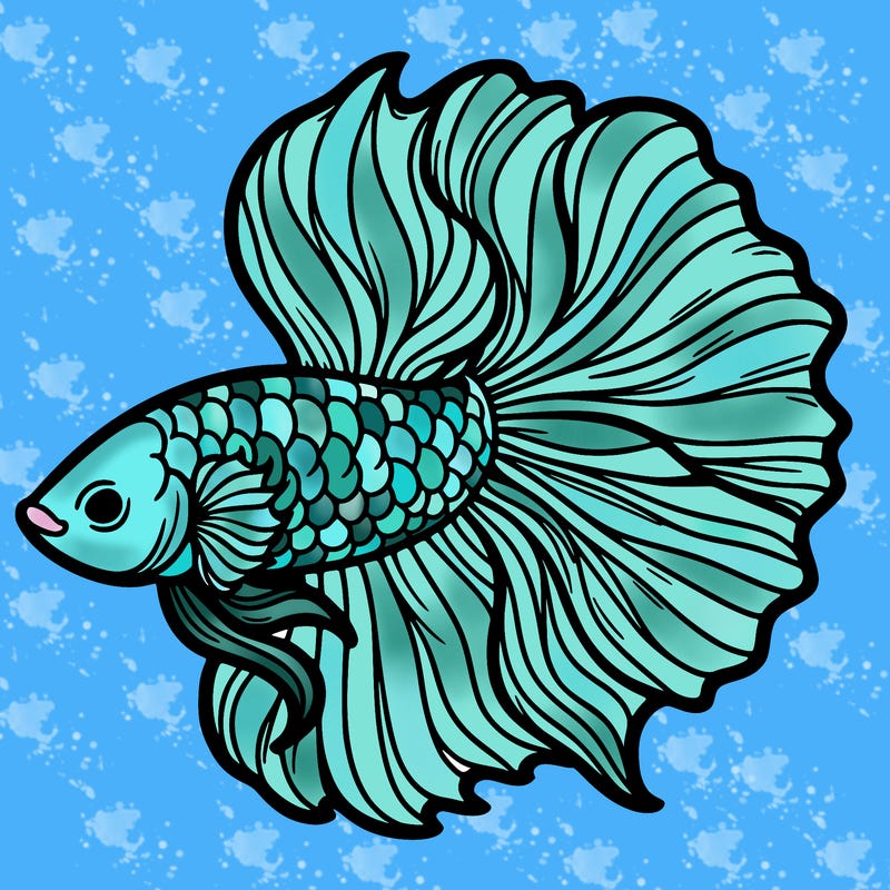 betta fish