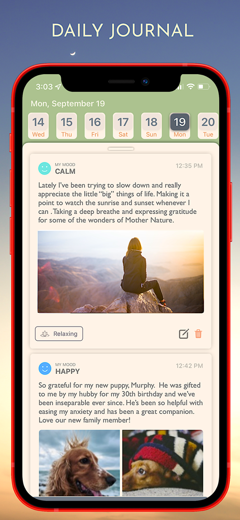 Daily Journal+ - Interfaz de la aplicación Daily Journal que muestra entradas personales con seguimiento del estado de ánimo y fotos