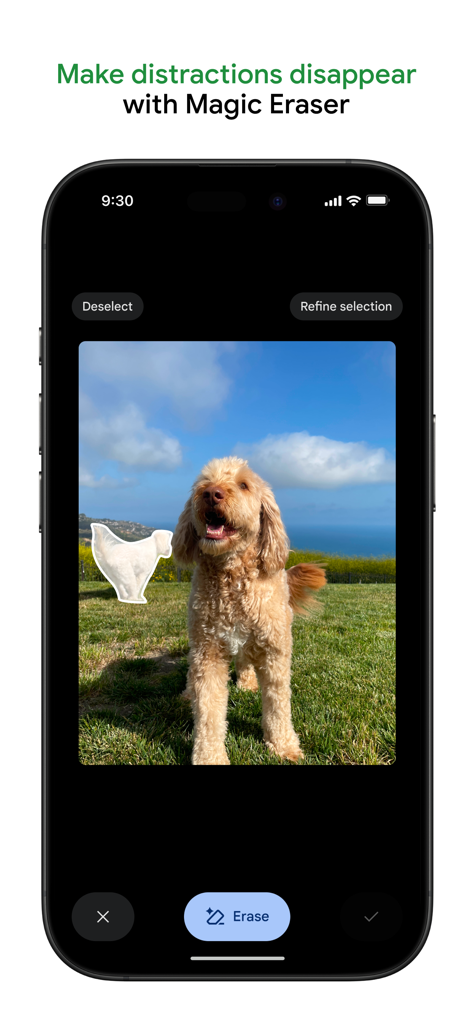 Interfaccia dell'app Google Foto che mostra lo strumento Magic Eraser che rimuove una distrazione di sfondo da una foto di un cane