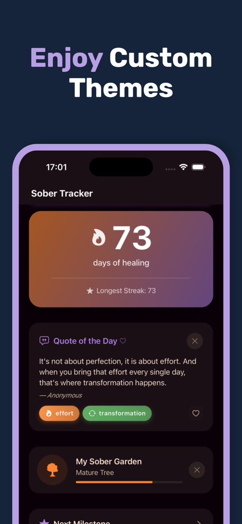Sober Tracker: Quit Alcohol - Sober Tracker dashboard showing 73 days of healing and a motivational quote in a dark purple theme