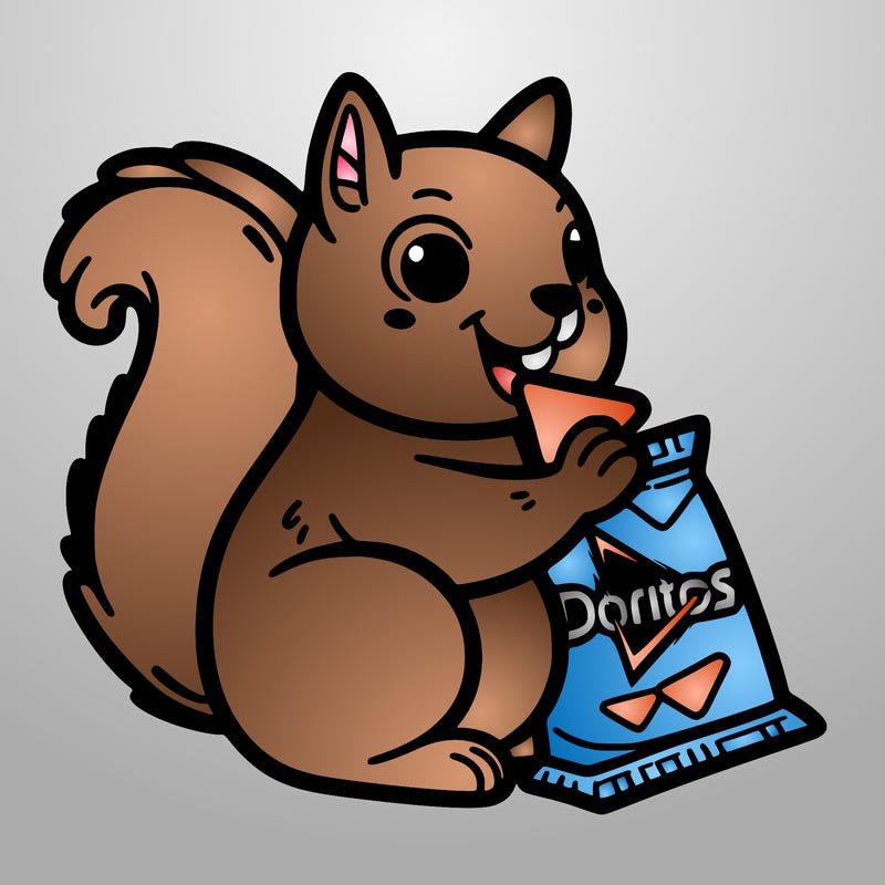 squirrel eating a bag of doritos