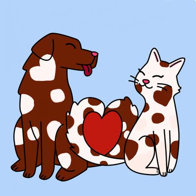 animals_22
